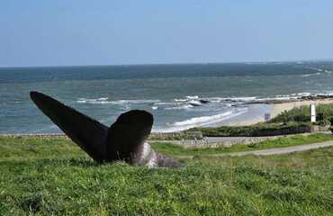 M_20260302_151746 (1)